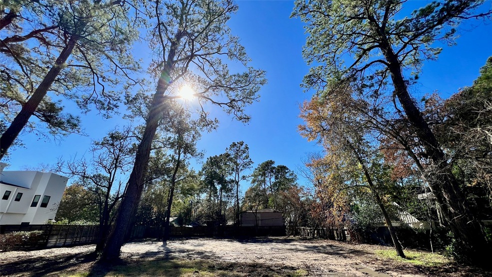 11919 Memorial Dr, Houston, TX 77024 - photo 1