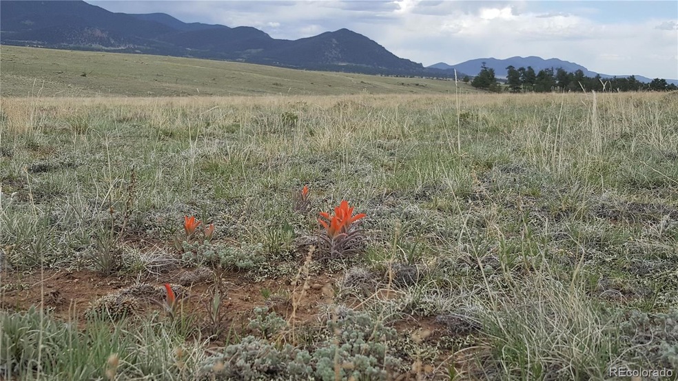 82 Sunset Crater View, Hartsel, CO 80449 - photo 1