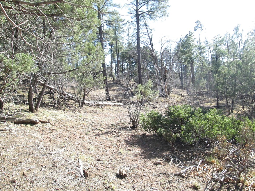 6210 Wildcat Trail, Show Low, AZ 85901 - photo 1