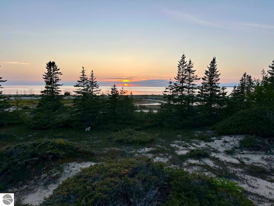 TBD Mrs Reddings Trail, Beaver Island, MI 49782 - photo 1