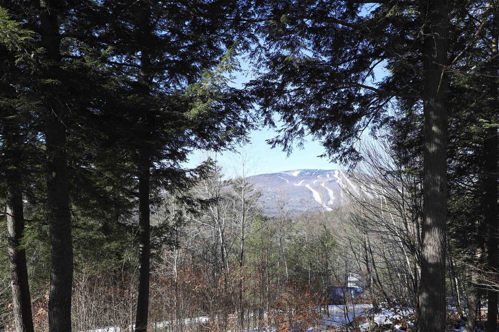 94 Birch Ln, Ludlow, VT 05149 - photo 1