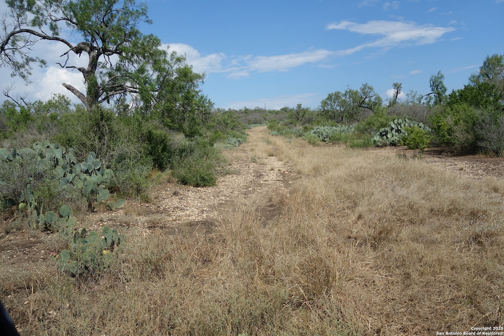 TBD 1343, Castroville, TX 78009 - photo 1
