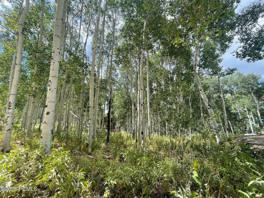 11485 E Violet Way unit 1845, Heber City, UT 84032 - photo 1