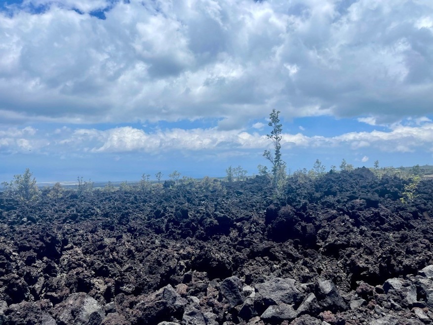 12 Lehua Ln, Ocean View, HI 96704 - photo 1