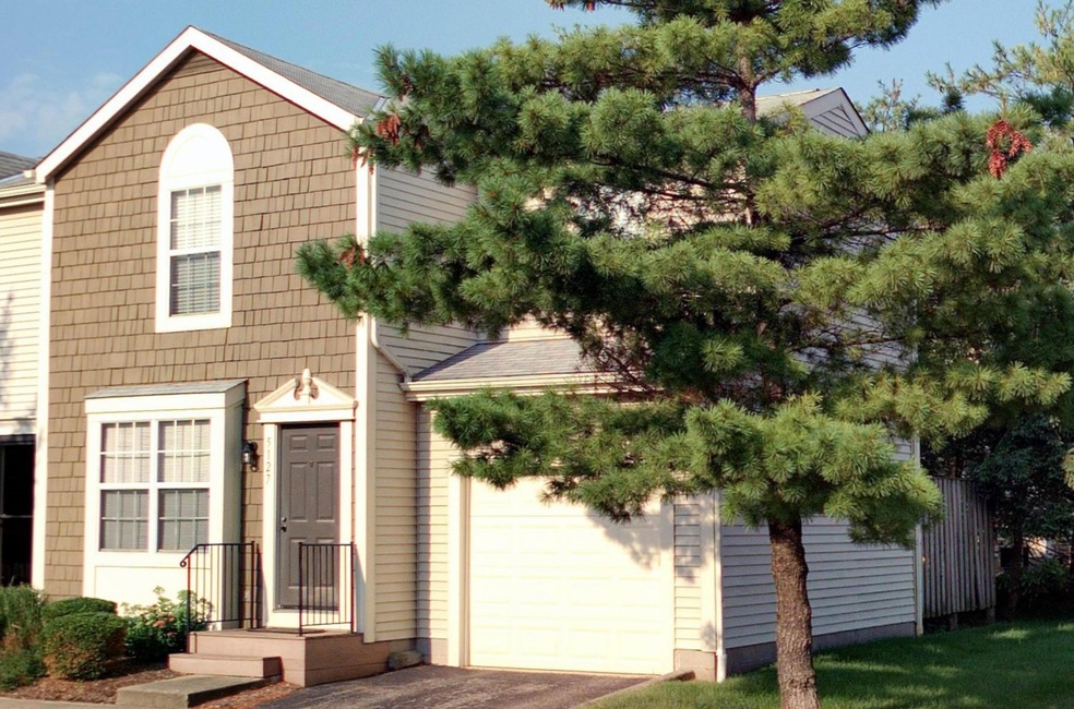 560-219473P1