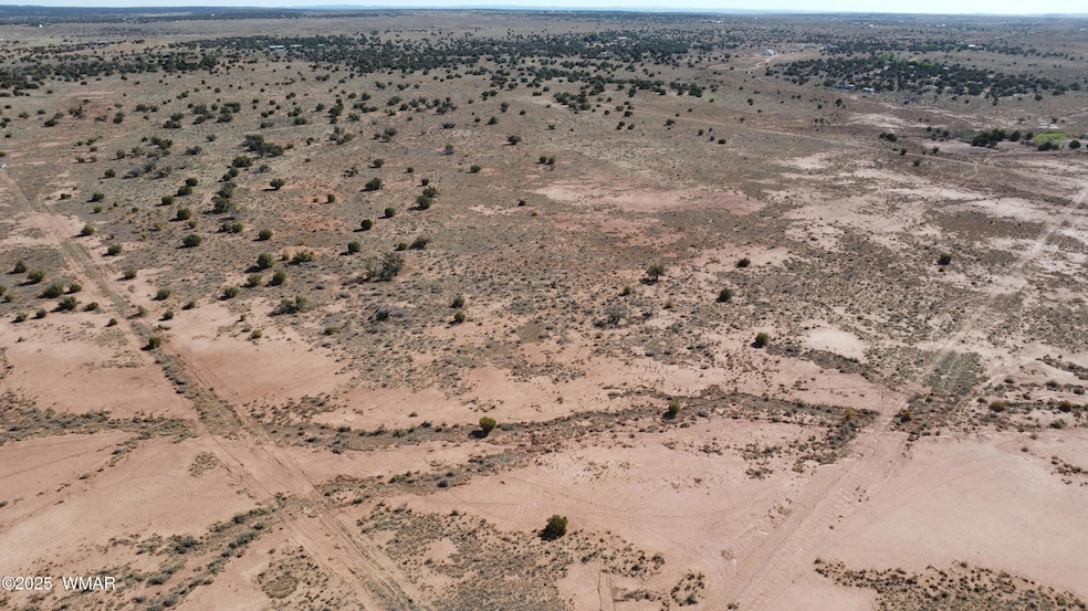 DJI_0067