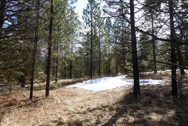 4 Blue Spruce Place unit 6, Cascade, ID 83611 - photo 1