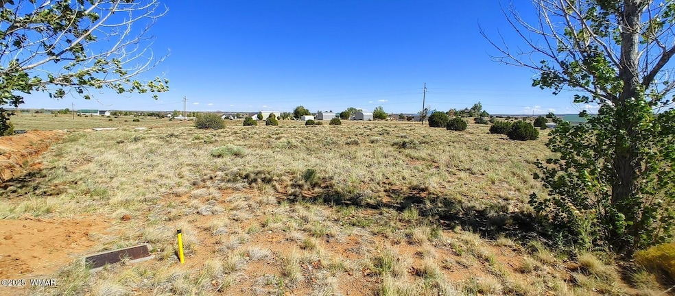 1190 Haystack Rd unit Lot 68, Taylor, AZ 85939 - photo 1
