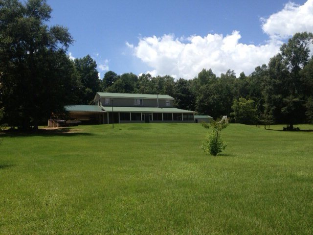 Main View