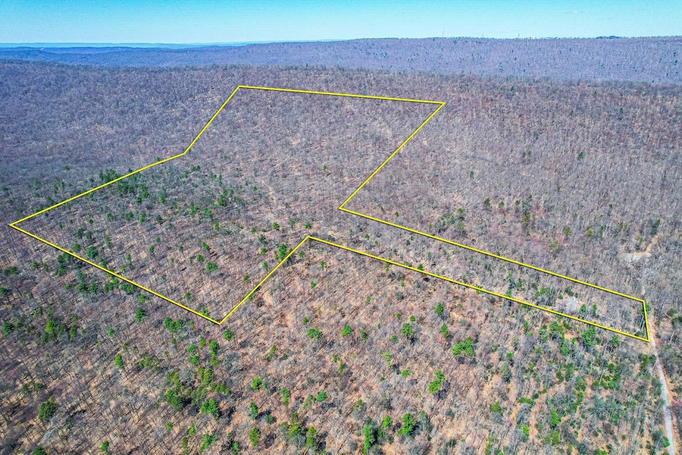 Sold $865,000 • Co-Listing Agent