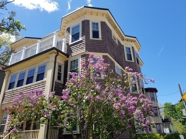 303 Hyde Park Ave unit 1, Jamaica Plain, MA 02130 - photo 1