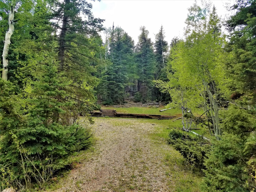 125 & 135 Buckhorn Trail, Duck Creek Village, UT 84762 - photo 1