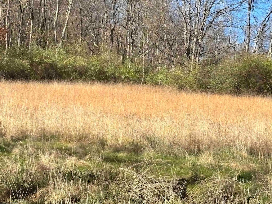 TBD Planing Mill St, Belington, WV 26250 - photo 1