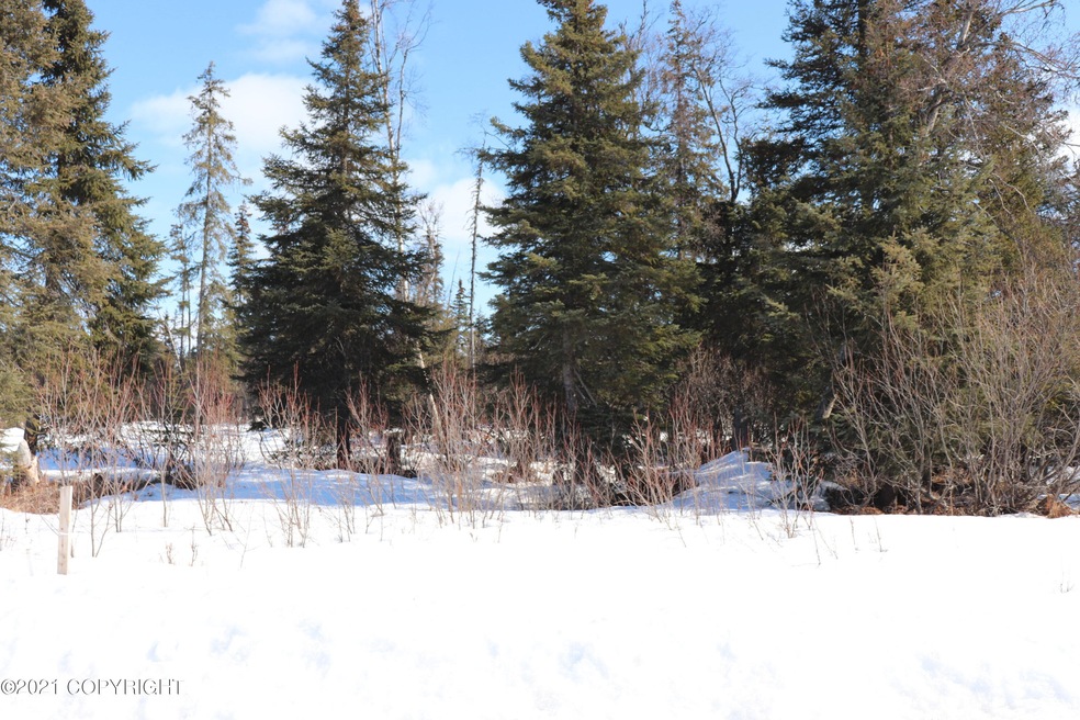 32714 Rickard St, Anchor Point, AK 99556 - photo 1