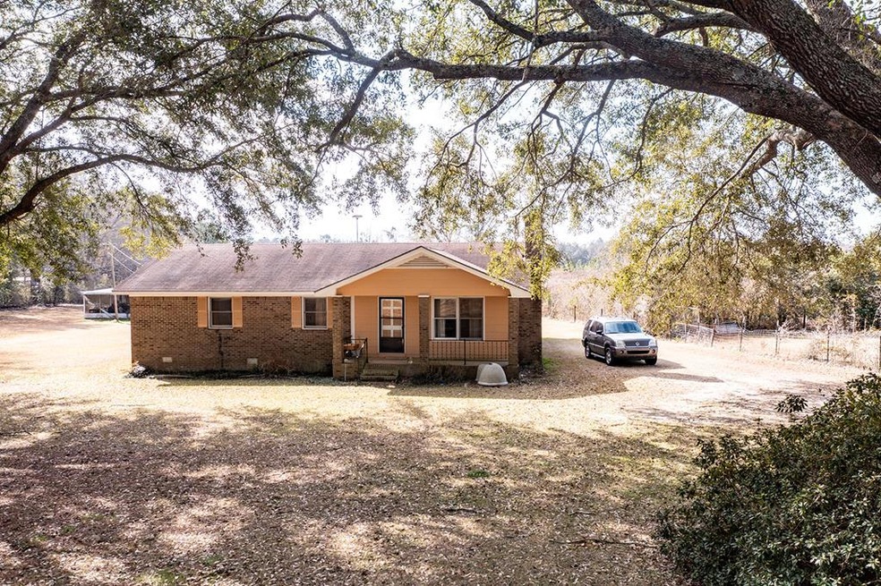 13669 Georgia 93, Baconton, GA 31716 - photo 1