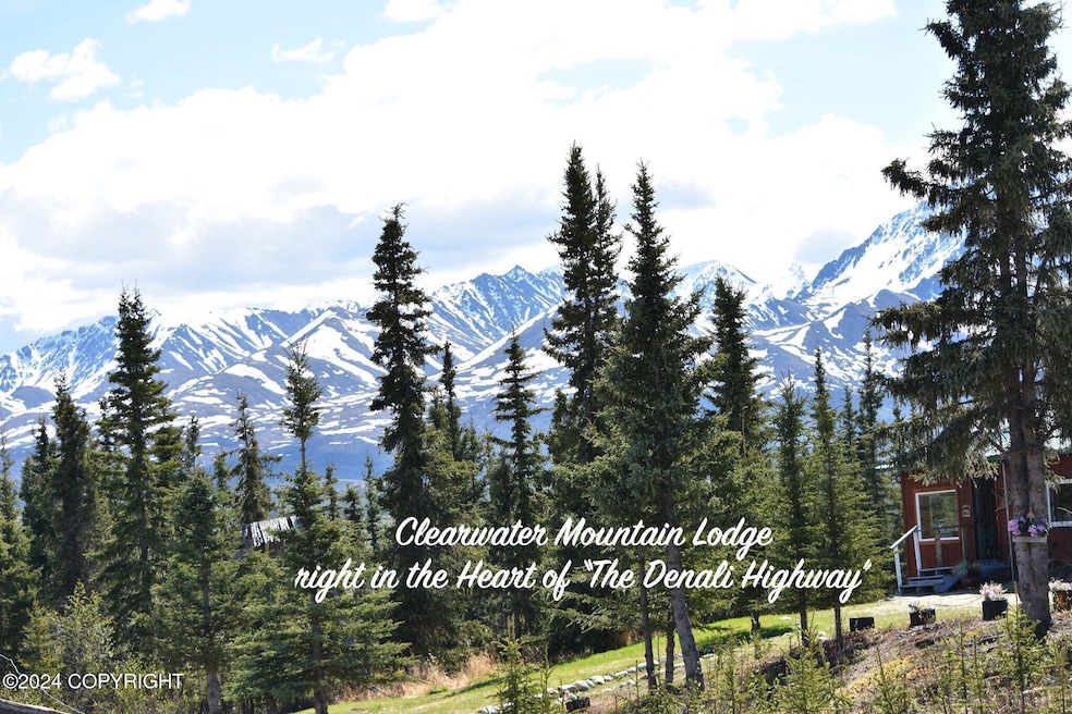Mile 82 2 Denali Hwy, Remote, AK 99000 - photo 1