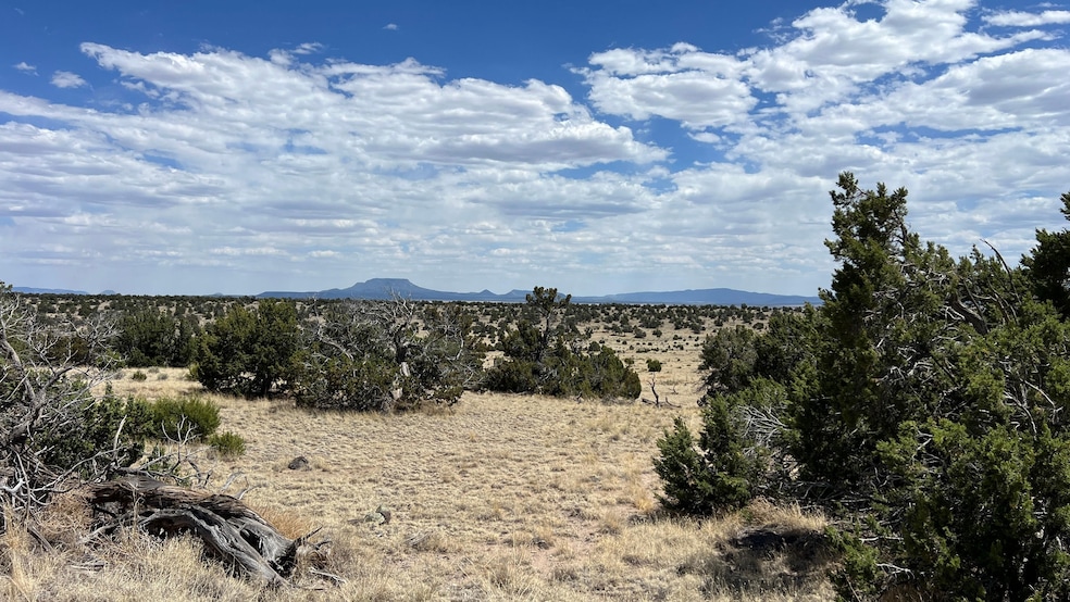 0 Warpath Rd unit 23912666, Quemado, NM 87829 - photo 1
