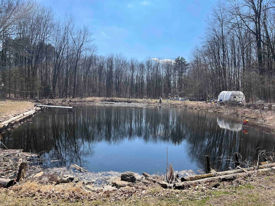 0 Lils Ln, Abrams, WI 54101 - photo 1