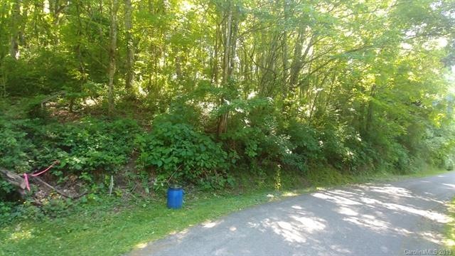 Upper edge of the lot has driveway potential that would come out level with the house-pad area.  (The driveway at the bottom of the lot is too steep).