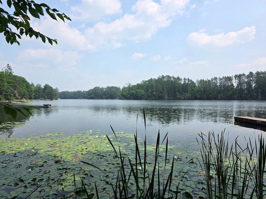 W2597 Hollister Rd E, White Lake, WI 54491 - photo 1