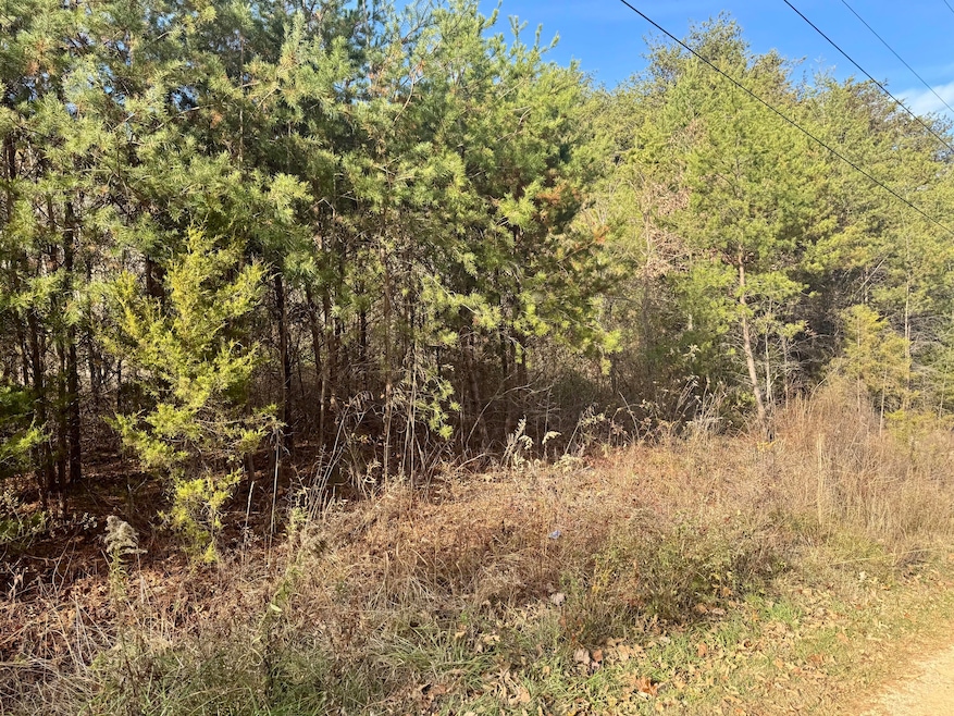 000 Sun Hill Way, Parrottsville, TN 37843 - photo 1