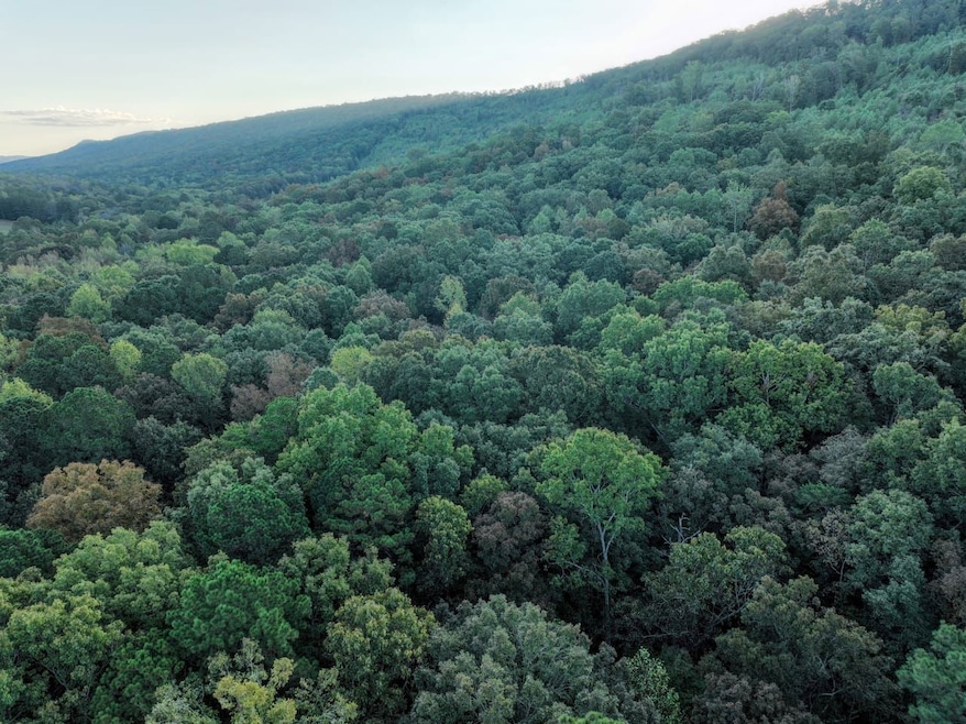 0 Sumatanga Rd, Steele, AL 35987 - photo 1