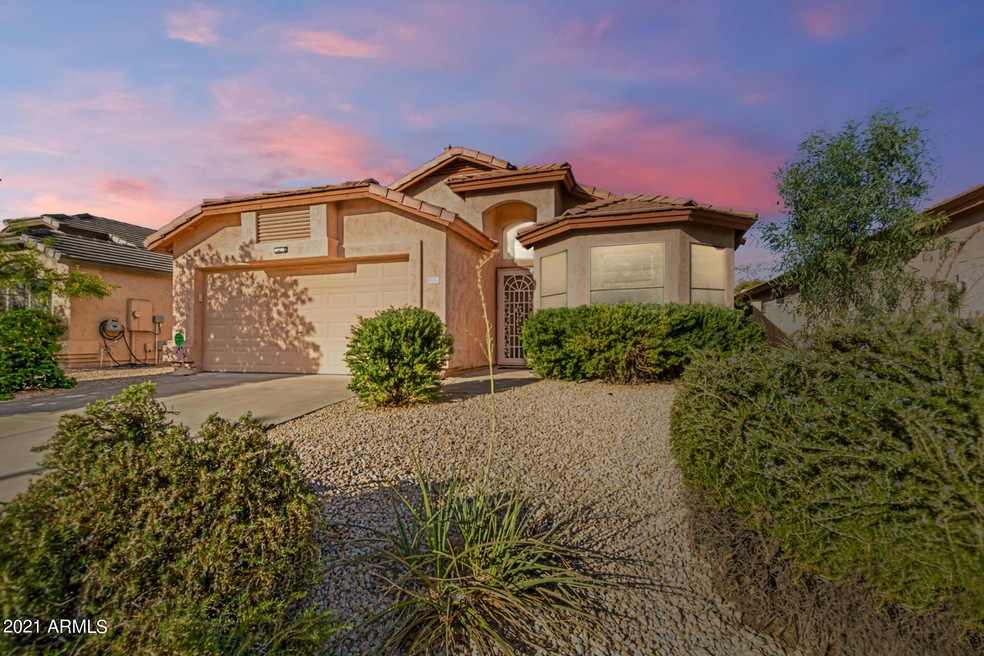 Desert Ridge Oasis