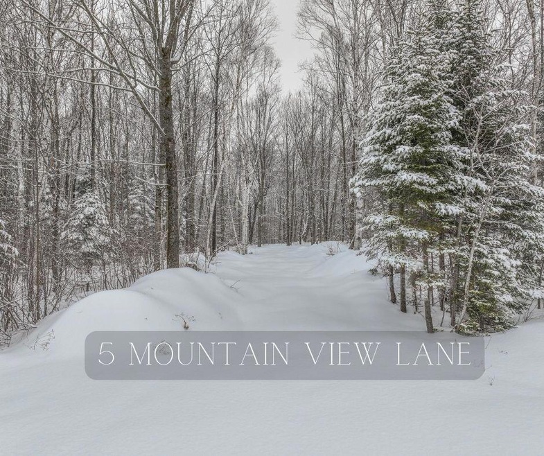 5 Mountain view ln