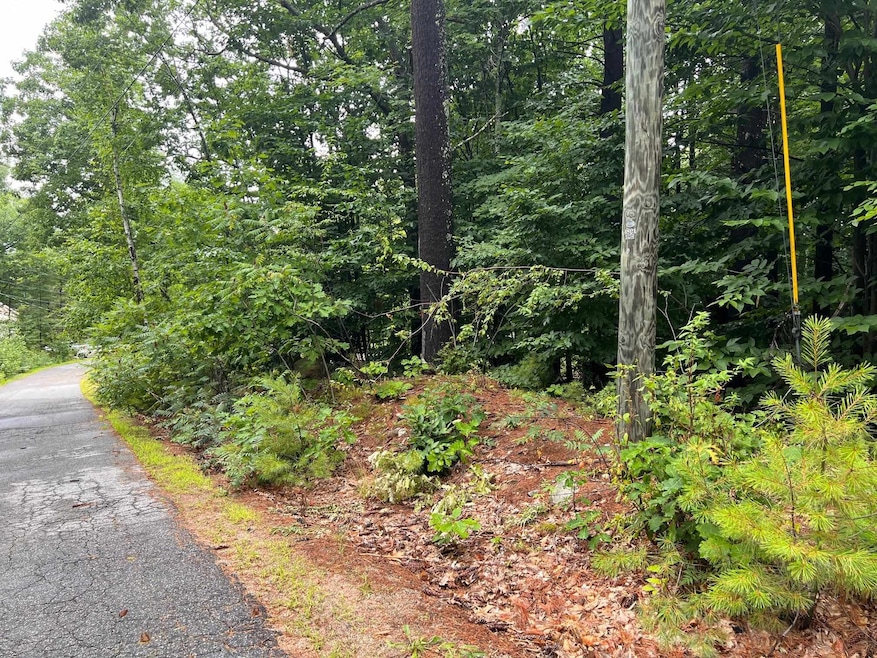 lot 84 Franconia Dr, New Durham, NH 03855 - photo 1
