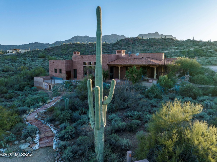 Stunning Saguaro