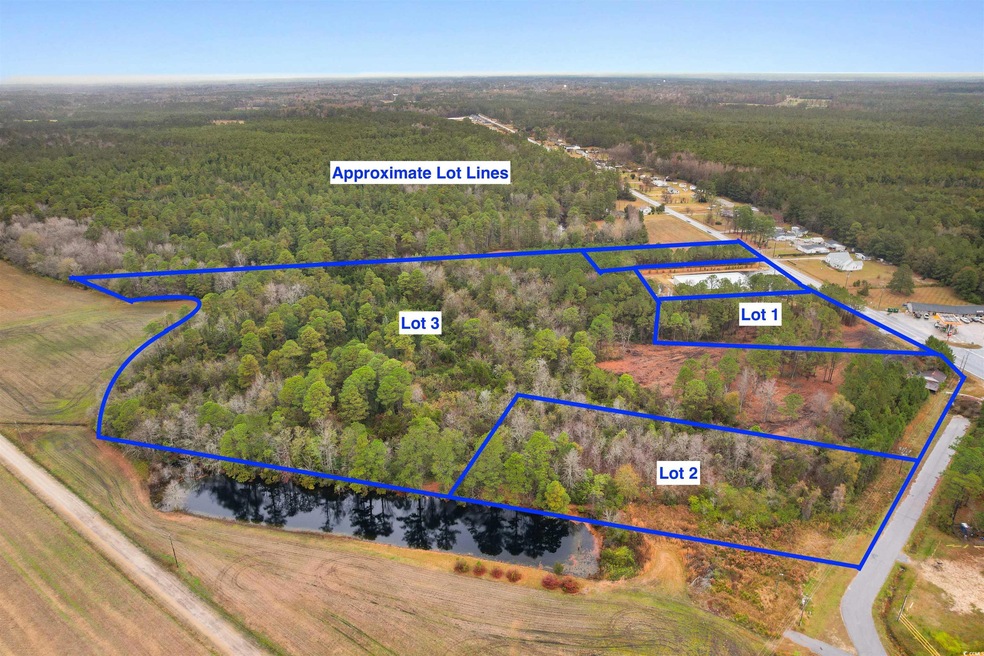 TBD Lot 1 Red Bluff Rd, Loris, SC 29569 - photo 1