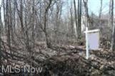 Lot 55 Hurd Rd S, Aurora, OH 44202 - photo 1