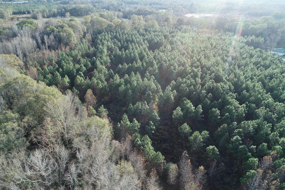 5733 County Road 30, Luverne, AL 36049 - photo 1