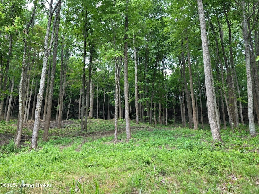 For Sale $80,750 • Co-Listing Agent