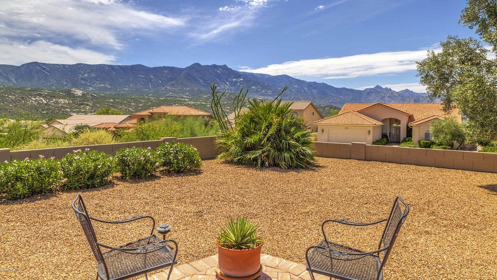 Back Patio and Back Yard