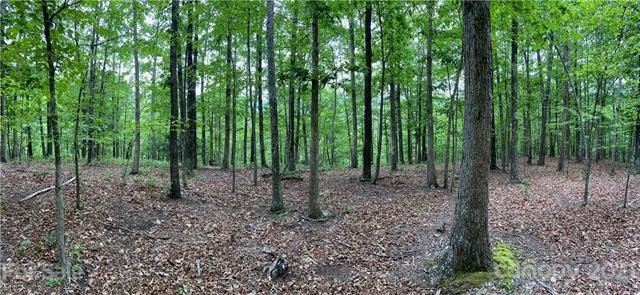 Homesite 31 in The Bluffs. Fantastic topography fo