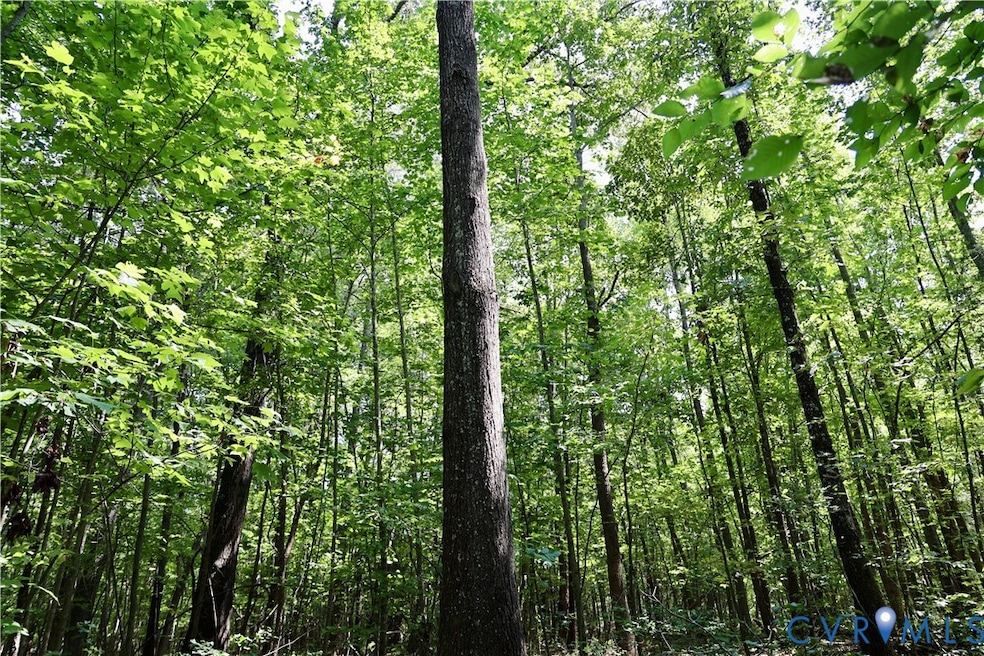 0 Bellevue Rd unit 2526138, Halifax, VA 24588 - photo 1