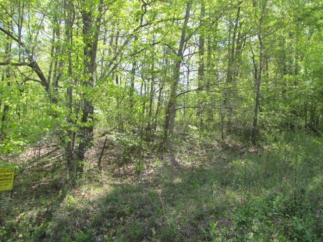 100 Heather Ln, Dickson, TN 37055 - photo 1