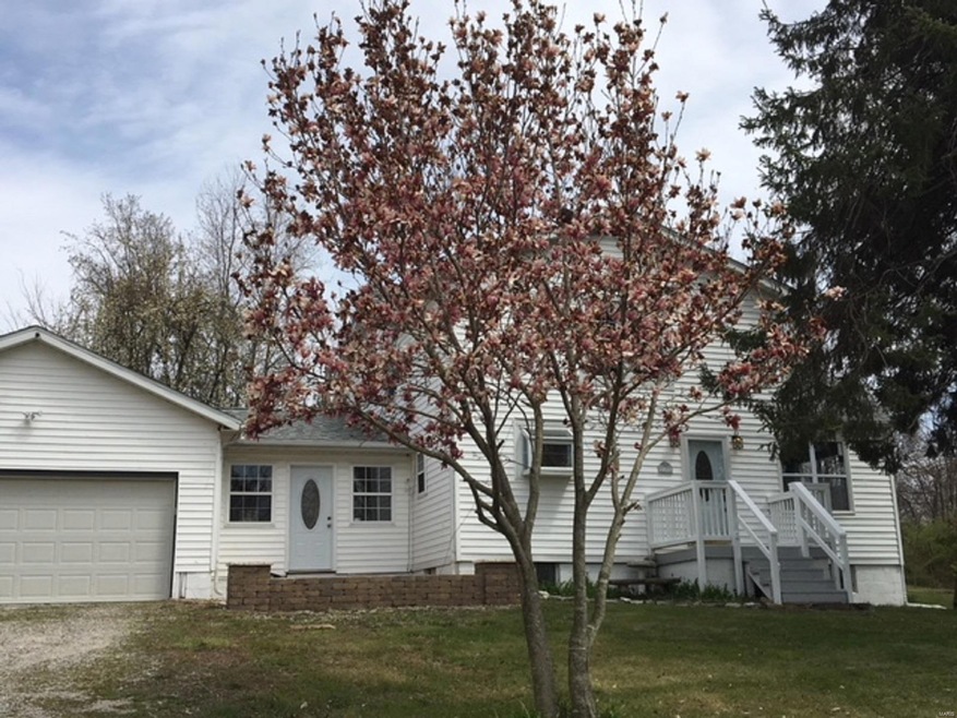 Pretty Magnolia tree
