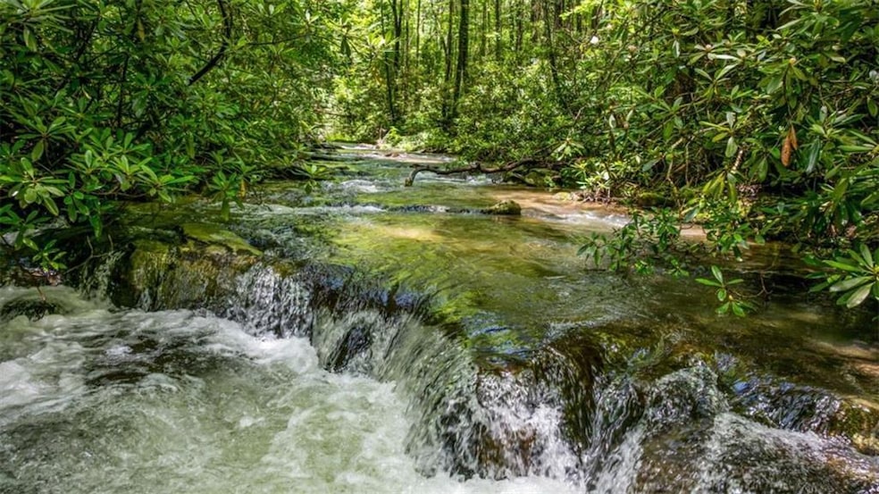 10323 Old Ccc Camp Rd, Ellijay, GA 30540 - photo 1