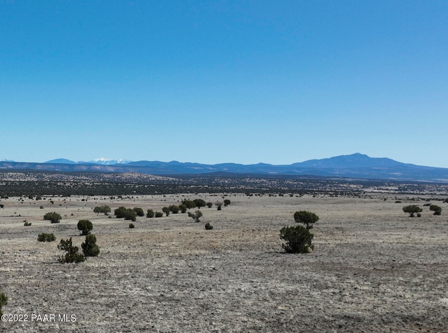 Lot 99 Juniperwood Ranch Rd, Ash Fork, AZ 86320 - photo 1
