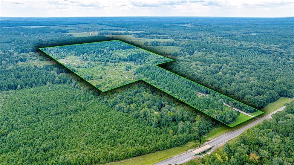 2350 Highway 499 Other, Sikes, LA 71473 - photo 1