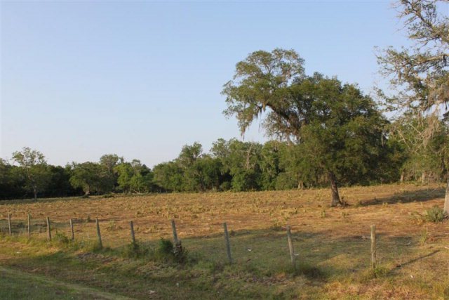 0 Cr 510 unit 49526, Brazoria, TX 77422 - photo 1