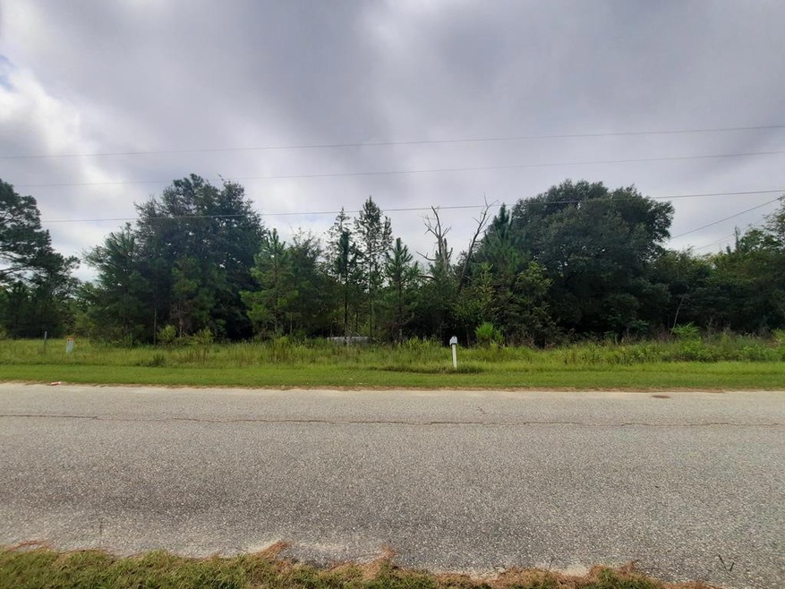 130 Honeysuckle Ln, Fitzgerald, GA 31750 - photo 1