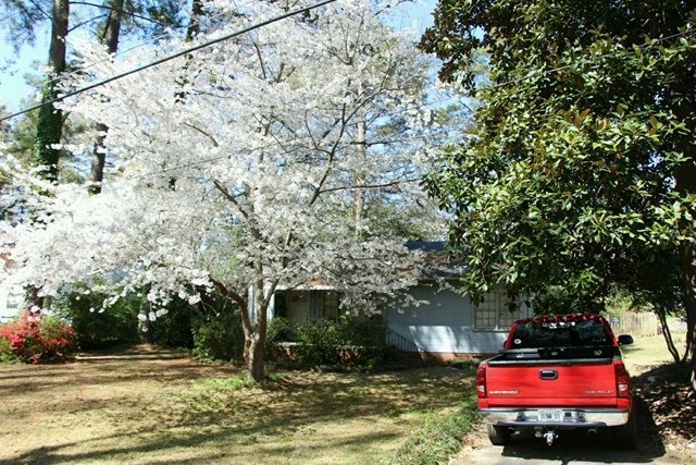 Primary Photo