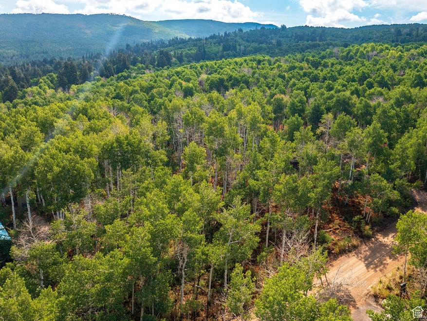 Drone / aerial view of a mountain backdrop