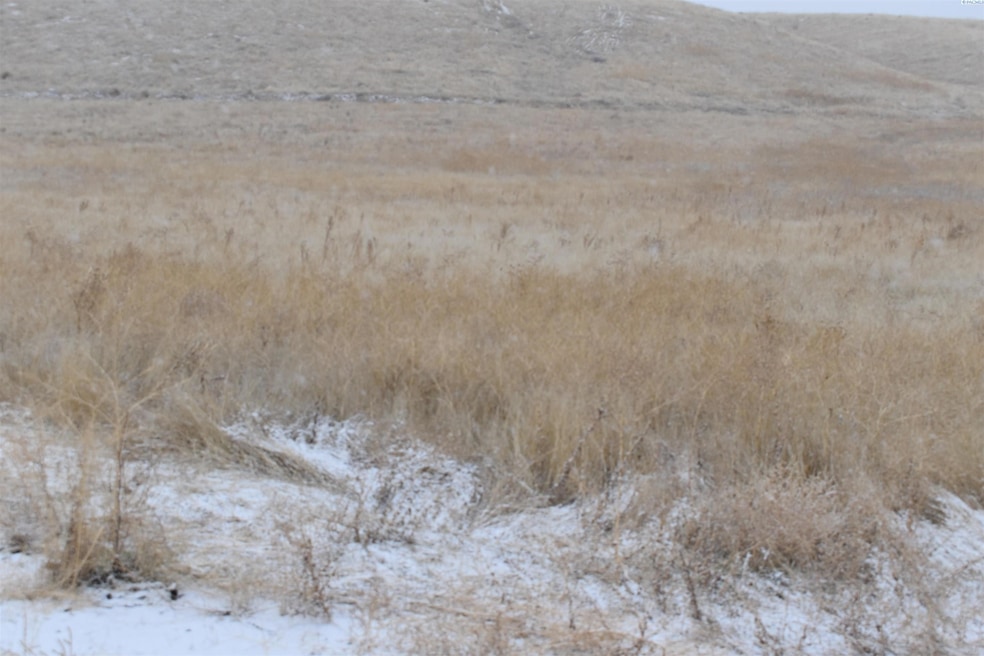 TBD Tbd, Connell, WA 99326 - photo 1