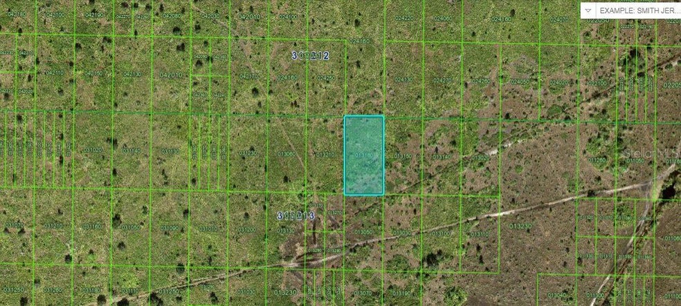 0 River Ranch Blvd unit MFRO6247365, Lake Wales, FL 33898 - photo 1