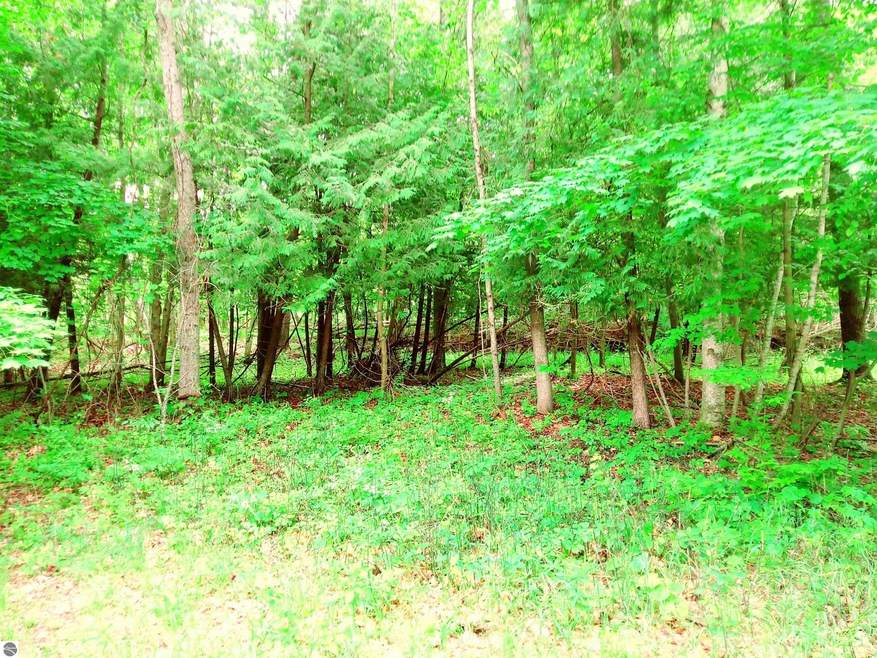 .718 Acre Wooded Lot Shared Duck Lake Access.