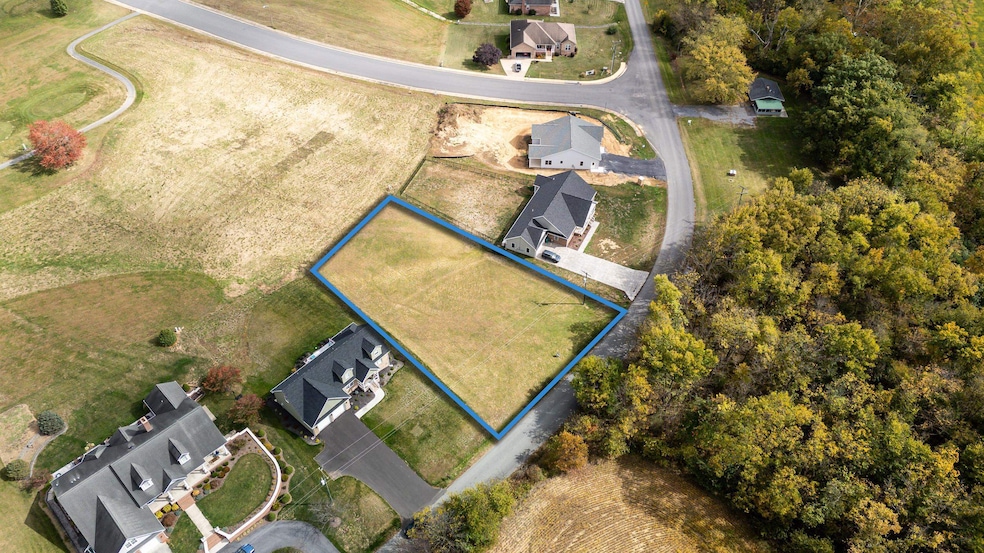 TBD Clicks Ln, New Market, VA 22844 - photo 1